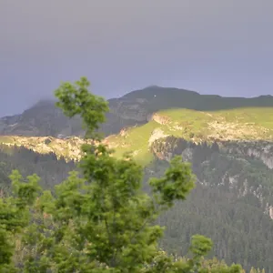 Domaine Du Grand Tetras Samoëns